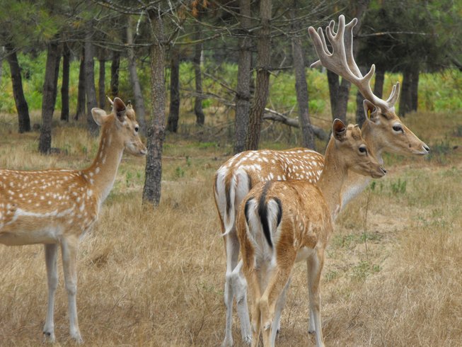 Domaine AbracadaRoom : La Ferme de l'Argenté - Image 3