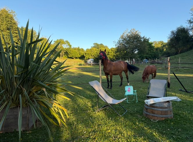 Domaine AbracadaRoom : La Tiny de Mary - Image 15