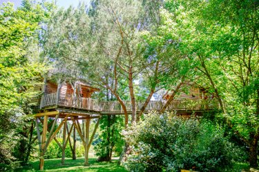 Cabane Palombière à Le Nizan (1)