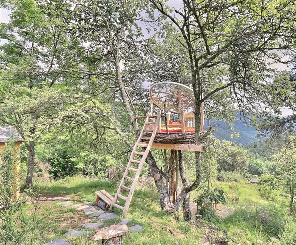 Hébergement AbracadaRoom : Le Nid, perché à la cime de l'arbre - Image 6