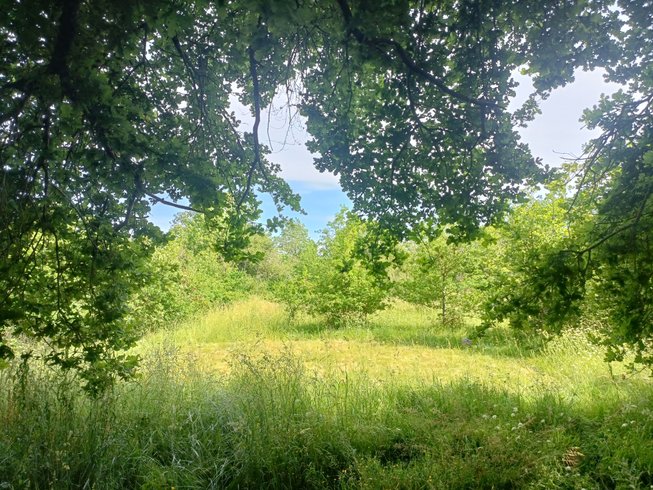 Hébergement AbracadaRoom : Entre rêves et chêne - Image 6