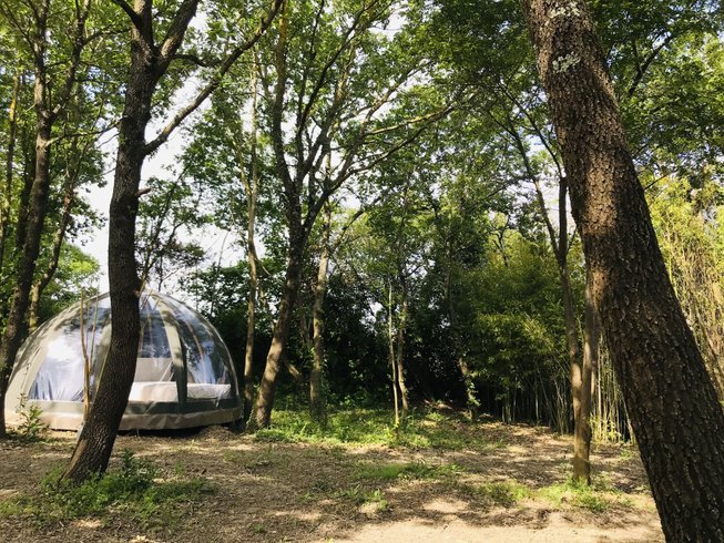 Hébergement AbracadaRoom : Ô cocon du Lauragais - Dôme et Spa - Image 6