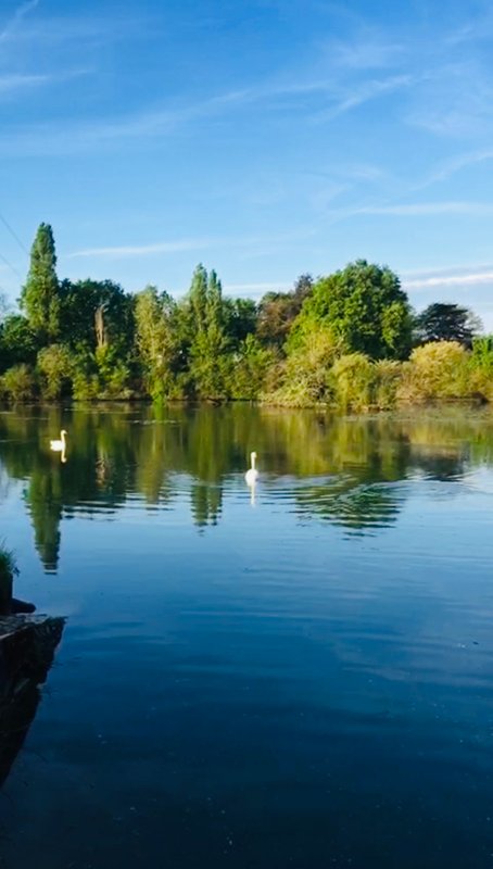 Lodge haut de gamme & bain nordique privatif au bord du Canal de Briare à 1h15 de Paris à Montcresson (26)