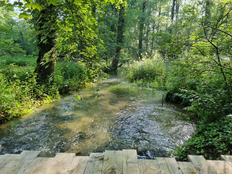 Domaine AbracadaRoom : Domaine du Moulin de Trimeule - Image 8