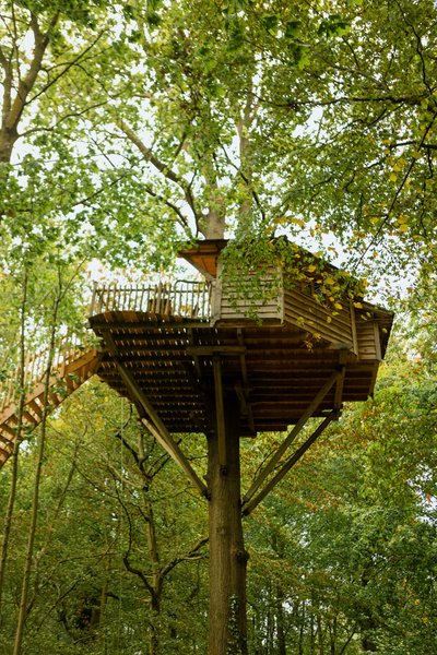 Hébergement AbracadaRoom : Cabane Cime - Image 6