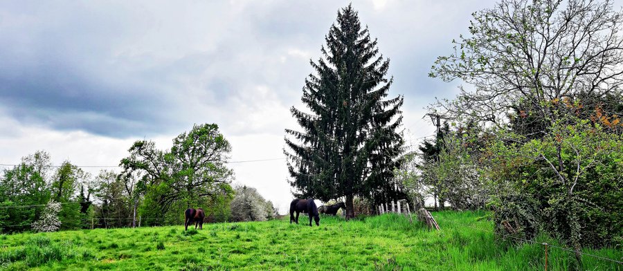 Hébergement AbracadaRoom : Wyoming Lodge*** - Luxe & SPA -  Vue lac - Image 7