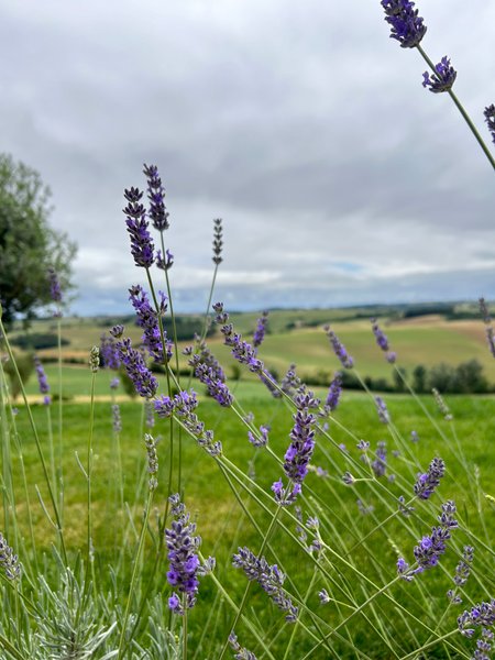 Hébergement AbracadaRoom : Dôme Lauragais - Image 16