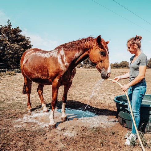 Domaine AbracadaRoom : La Ferme Des Épis - Image 5