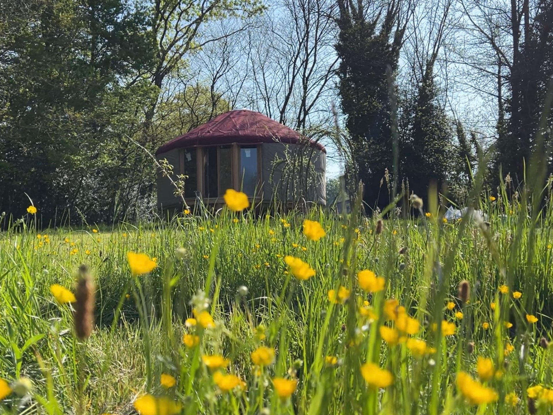 La Main Sauvage - Yourte en Corrèze