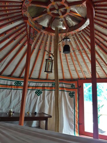 Hébergement AbracadaRoom : Yourte Altaï Séjour authentique auprès de huskies - Image 8