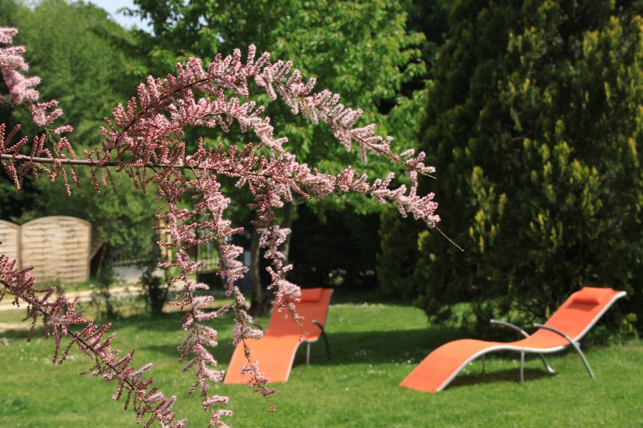 Domaine AbracadaRoom : La Maison du Bonheur - Image 7