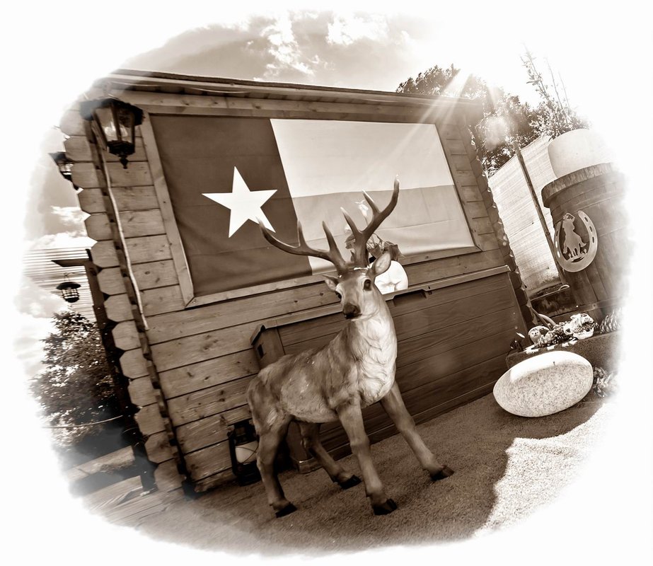 Bulle Texas – Luxe  & SPA – Vue Lac Aiguebelette à Novalaise (48)