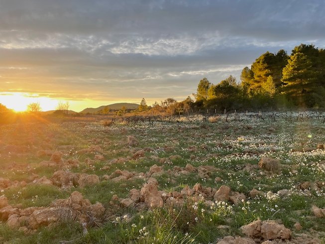 Domaine AbracadaRoom : Glamping Dôme les Cigales - Image 31