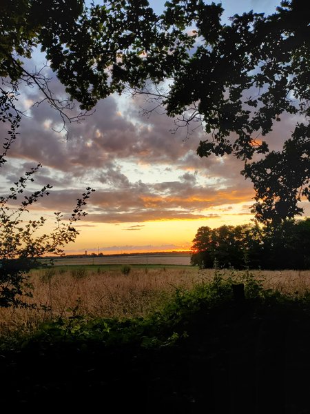 Hébergement AbracadaRoom : Parcel Tiny House - En Bourgogne - Image 10