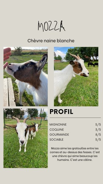 Hébergement AbracadaRoom : Dans ma Bulle & Spa - Image 29