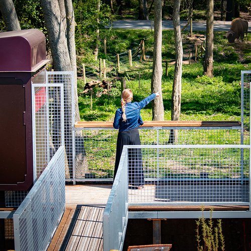 L'équipe du Zoo de Thoiry
