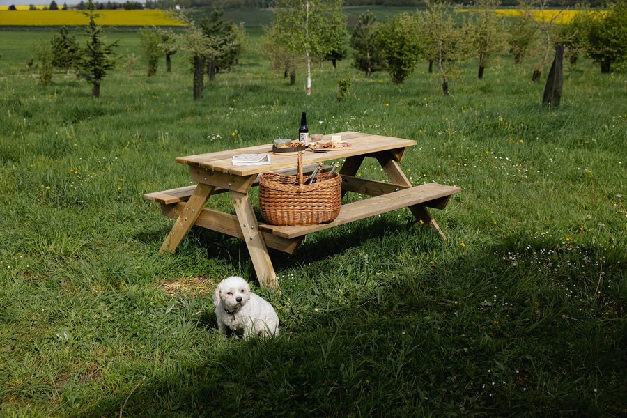 Domaine AbracadaRoom : Parcel Tiny House - à 50 min de Paris - Image 12