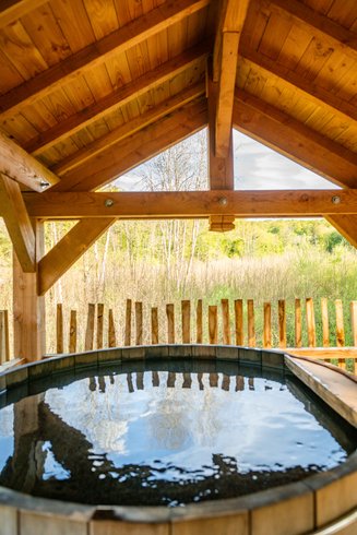 Hébergement AbracadaRoom : Grand dôme perché Spa - Geai des chênes - Image 27