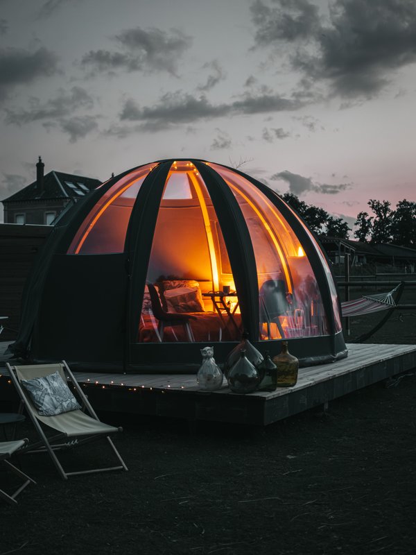 Les alpagas du clos à La Cerlangue (7)