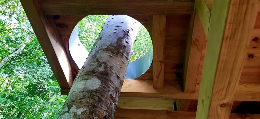 Hébergement AbracadaRoom : Ti Kabane Kaz Zion dans les arbres - Image 15