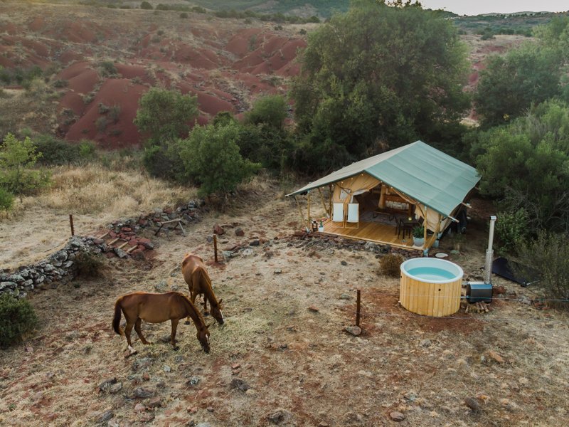 Domaine AbracadaRoom : L'Attrape Rêves - Image 3