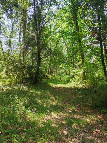 Domaine AbracadaRoom : La Roulotte Couzote - Image 3
