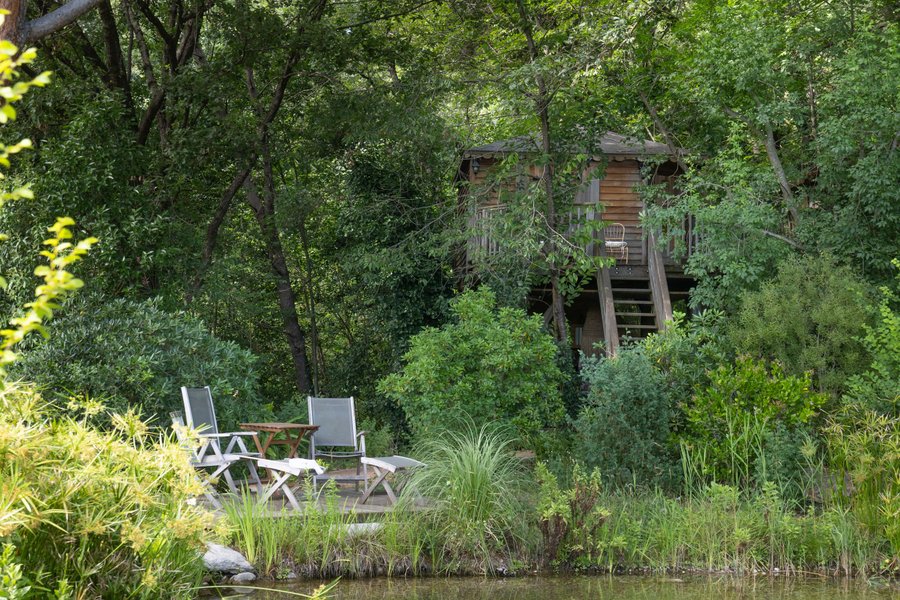 Domaine AbracadaRoom : Orion Treehouses - Image 9
