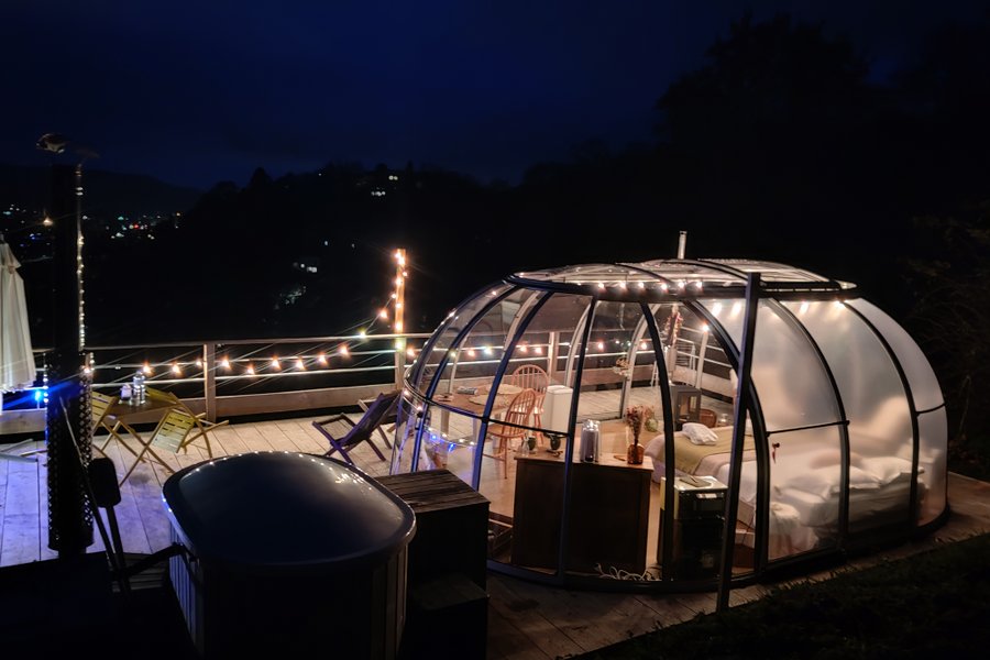 La Canopée & Spa — photo 2