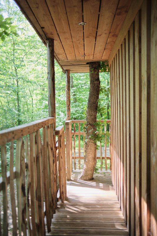Cabane Au Fil de l'Eau à St-Léger-Aux-Bois (9)