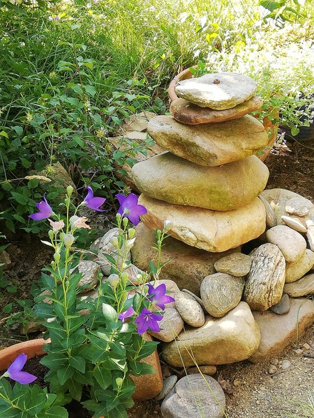 Domaine AbracadaRoom : Le Mas du Bois Barbeau - Image 15