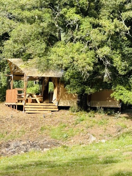 Hébergement AbracadaRoom : NASSA - Image 11