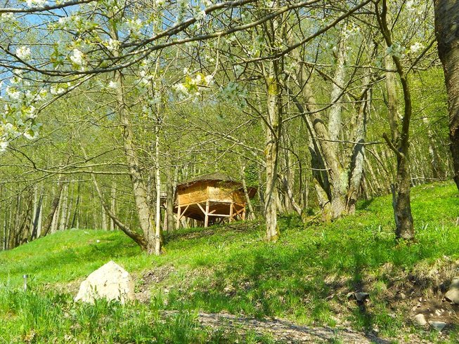 Hébergement AbracadaRoom : la Cabane l'Appel de la Forêt - Image 1