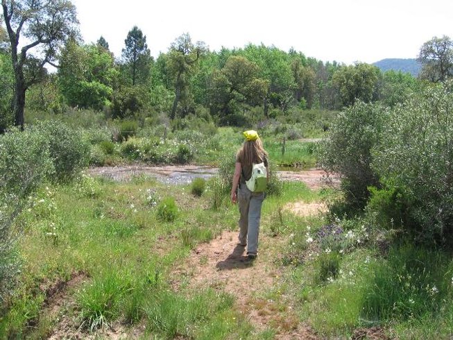 Domaine AbracadaRoom : Les Ecuries du Soleil - Image 3