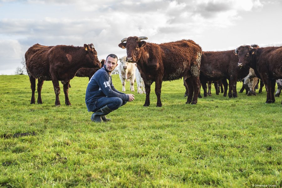 Domaine AbracadaRoom : Un Lit au Pré - L’étable des Mauges en Anjou - Image 3