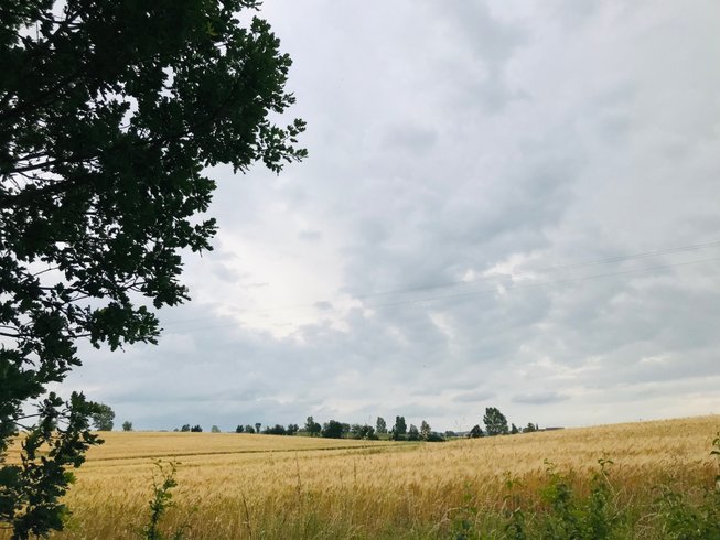 Hébergement AbracadaRoom : Ô cocon du Lauragais - Dôme et Spa - Image 23