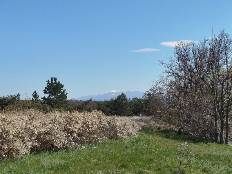 Domaine AbracadaRoom : RIALYS - Image 18