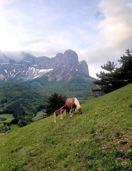 Domaine AbracadaRoom : Woody Ranch, séjour western dans le Vercors - Image 3