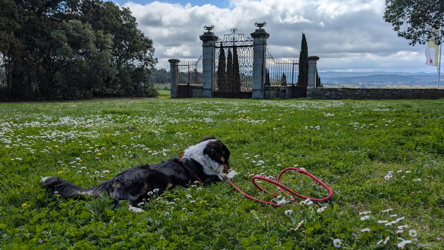 Hébergement AbracadaRoom : Cabane Fuste - Image 18