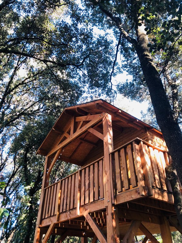 La Cabane Pascale à Maureillas-Las-Illas (6)