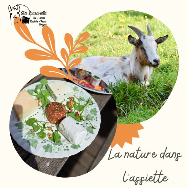 Domaine AbracadaRoom : Gîte Familial Scaravella - Image 38