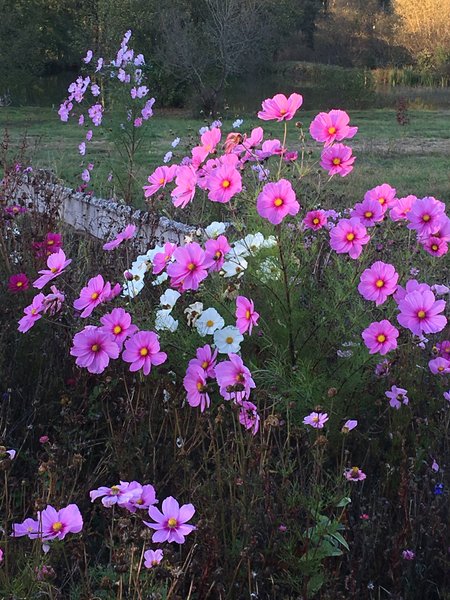 Domaine AbracadaRoom : Les Cambuses - Image 9