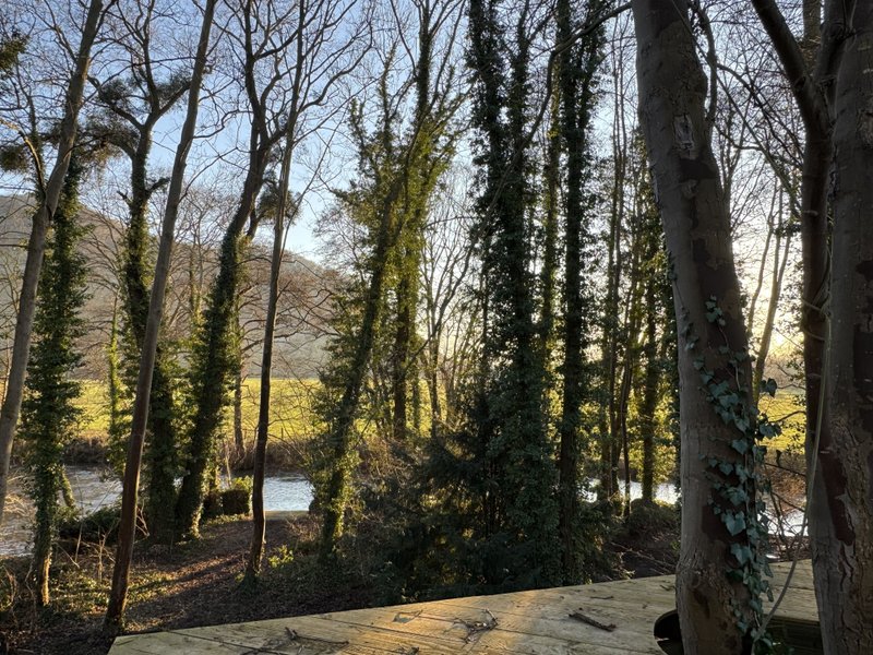 Domaine AbracadaRoom : L'île Merveilleuse - Image 3