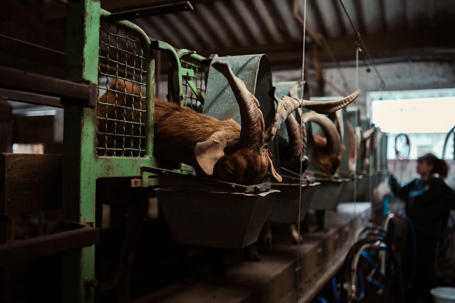 Hébergement AbracadaRoom : Parcel Tiny House - au coeur de la Provence proche Marseille - Image 7