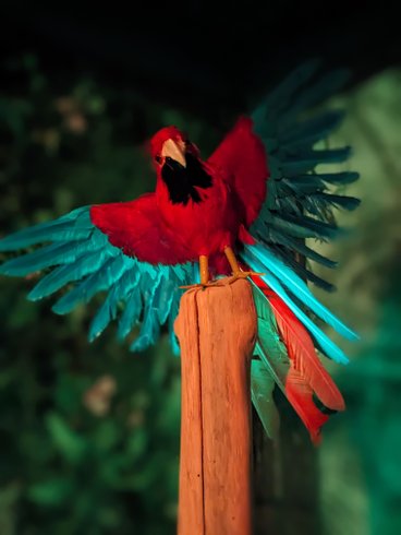 Hébergement AbracadaRoom : Nuit insolite avec Spa, sauna et jardin privatifs immersion en AMAZONIE - Image 32