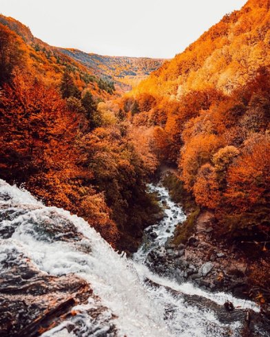 Hébergement AbracadaRoom : Cabane Spa Ecureuil - Image 22