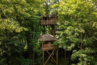 Cabane dans les arbres Oise