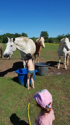 Domaine AbracadaRoom : Yourte Tarn-et-Garonne - Image 4