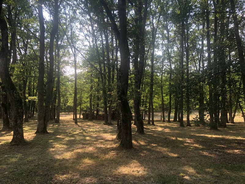 Domaine AbracadaRoom : Le Jardin Des Cabanes - Image 4