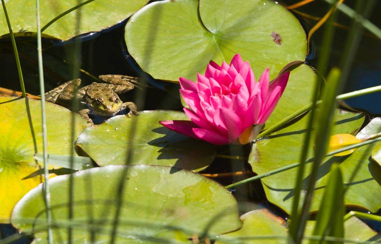 Domaine AbracadaRoom : Le Camp - Image 13