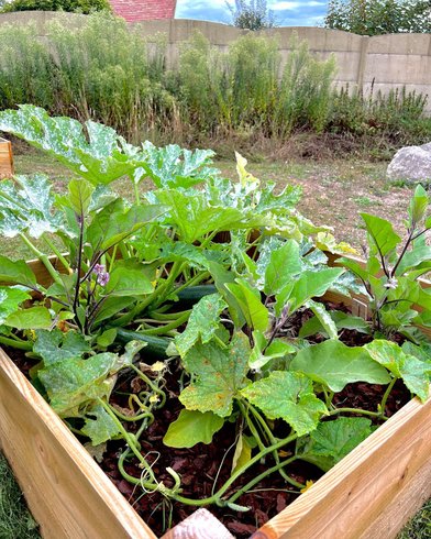 Domaine AbracadaRoom : Seasonova Camping Etennemare - Image 20